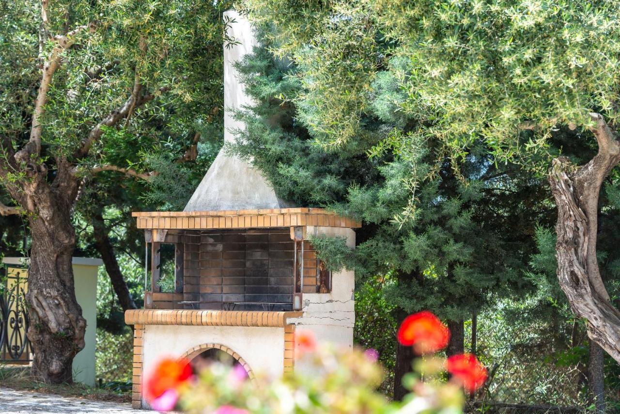 Olivegrove Villa - Nestled In Olive Trees With Private Pool, By Zantewize 트라가키온 외부 사진